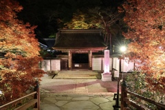 室生寺紅葉ライトアップ