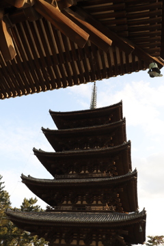 興福寺五重塔