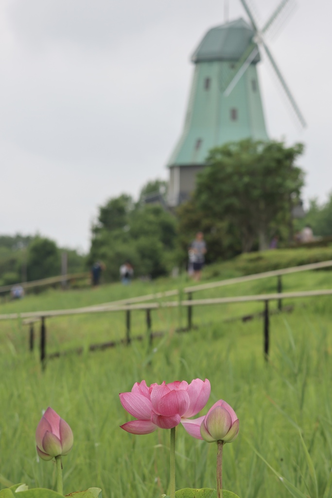 背景がお寺でないものも良い