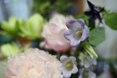 花束の中の主張