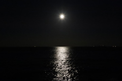 おぼろ月(伊東市)