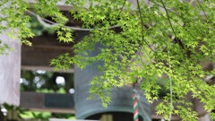 鐘
