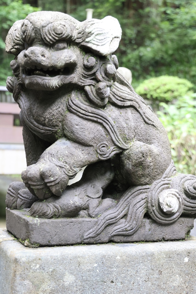 授乳中の狛犬