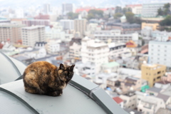 グラバースカイロードの主