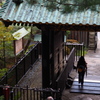 緑青