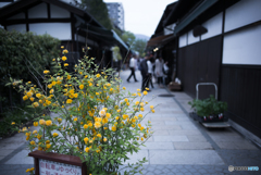 縄手通り