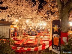 桜に生ビール！！！