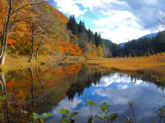 白川郷の紅葉