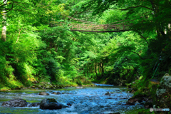 かずら橋の夏