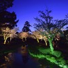 兼六園ライトアップ