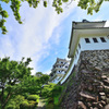 郡上八幡城