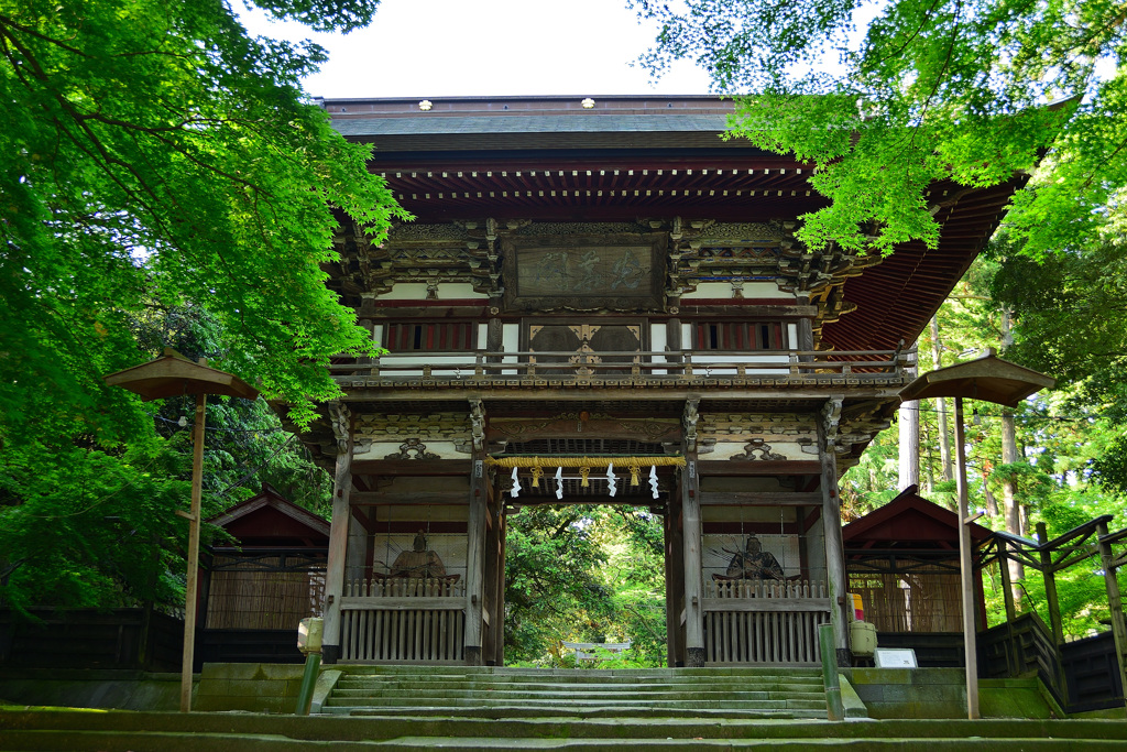 三國神社の新緑