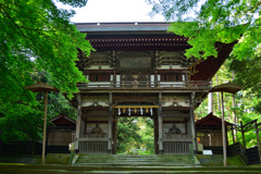 三國神社の新緑