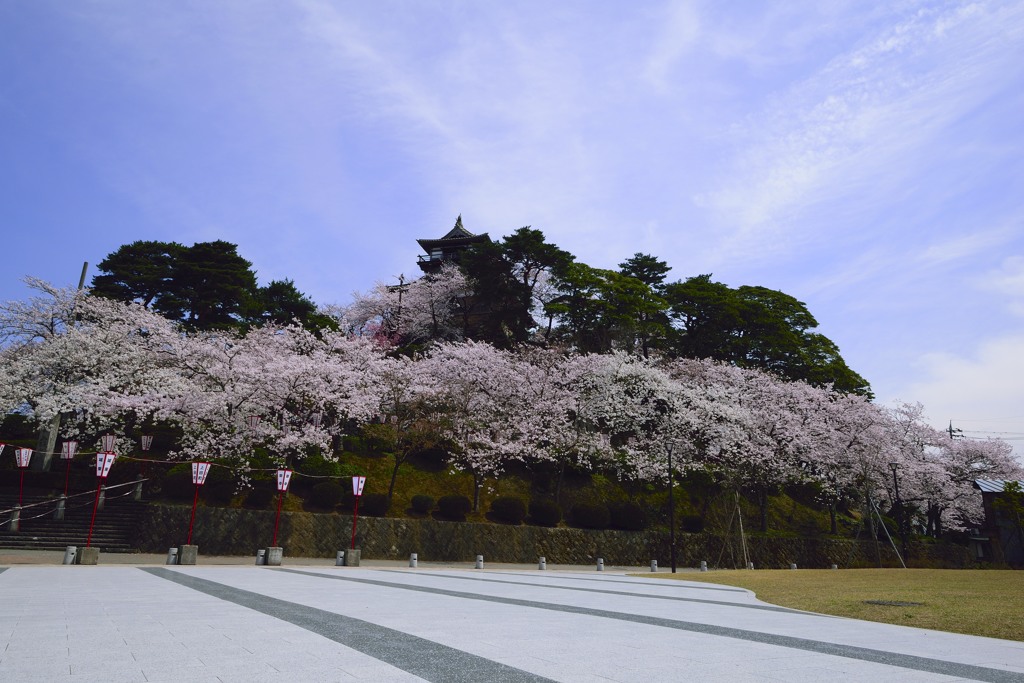 丸岡城　