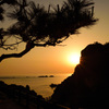 夕方の風景～松と鉾島～