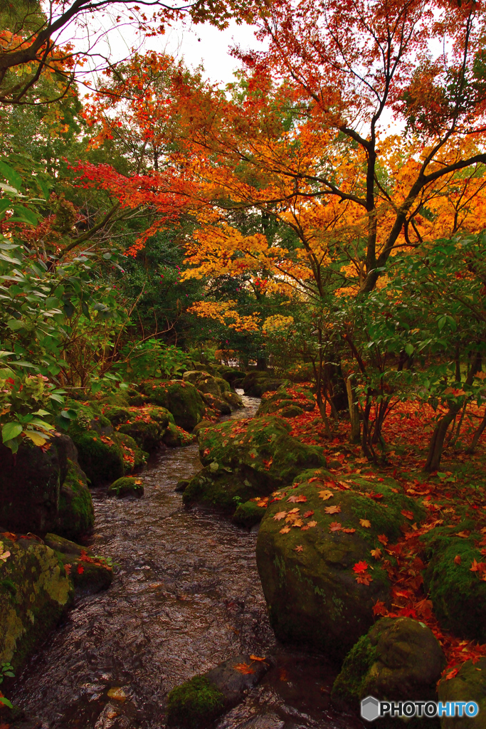 散る紅葉