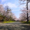 あわら市室山の桜並木