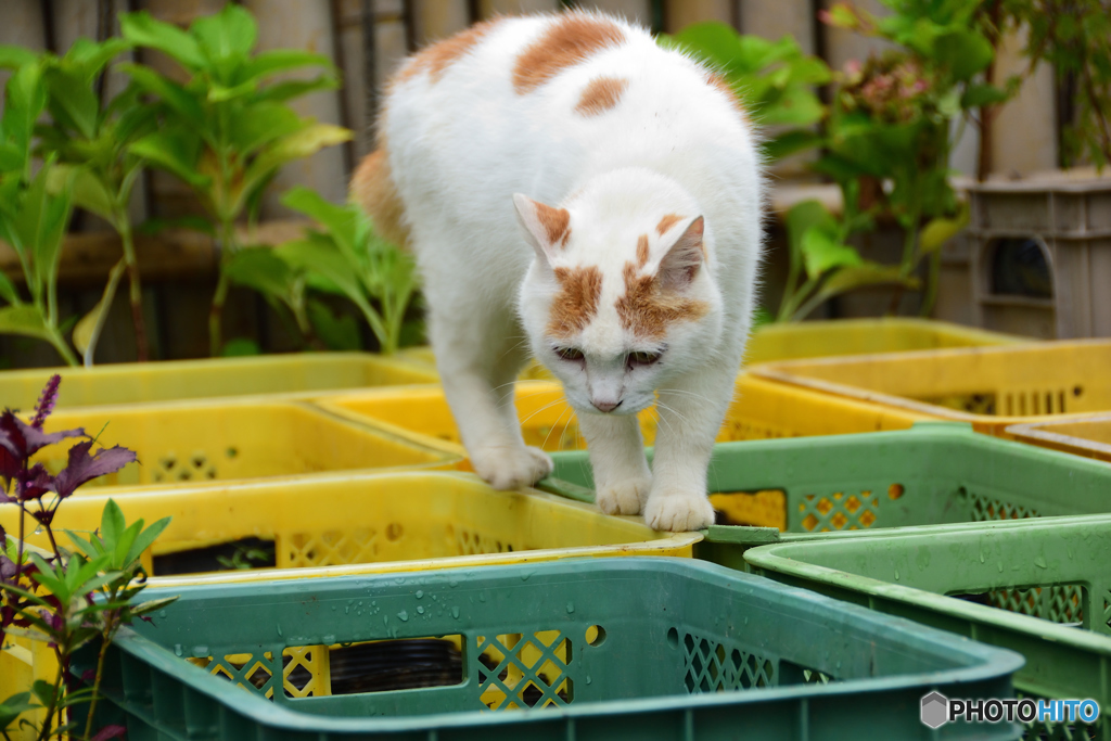 何か気になるこのあたり