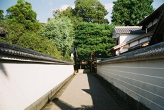 後白河法皇の霊廟？