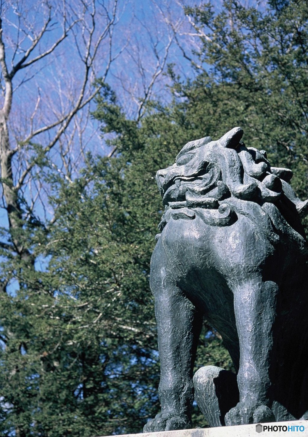 諏訪大社の狛犬さん