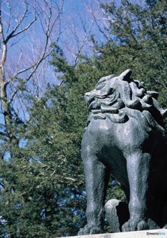 諏訪大社の狛犬さん