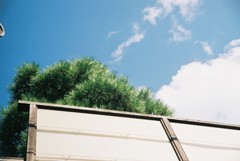 空と雲と緑