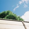 空と雲と緑