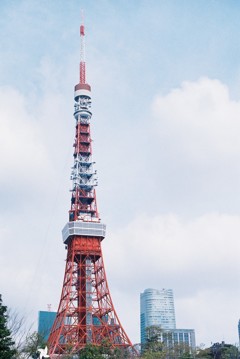 ノクトンその４