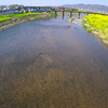 春の大和川Ⅱ