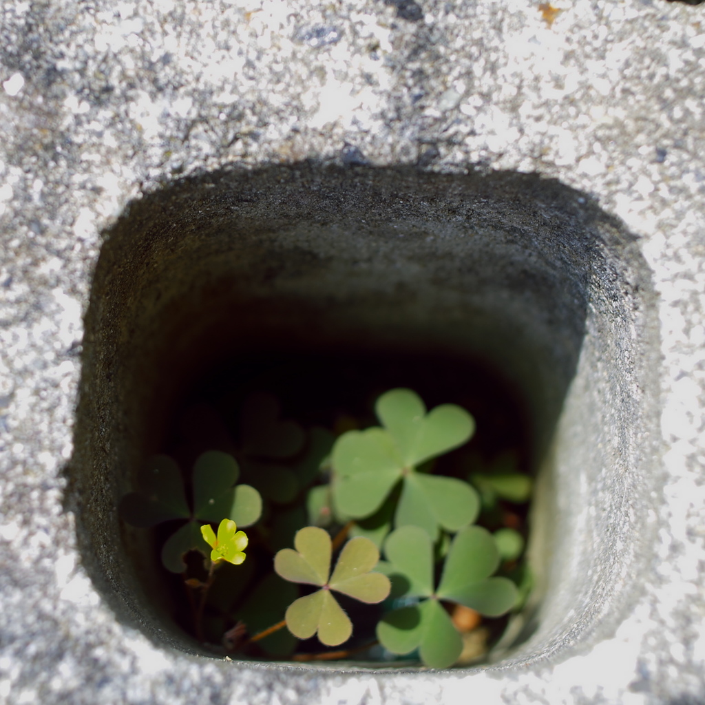 ちっちゃなハート