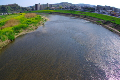春の大和川Ⅲ