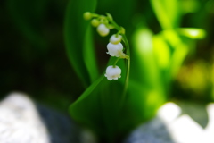 しっとりと