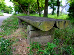 ベンチ