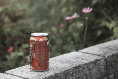 空き缶はゴミ箱へ、、、