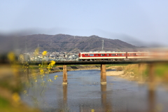 春の大和川