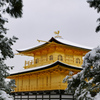 雪間の鳳凰