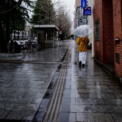 冷たい雨