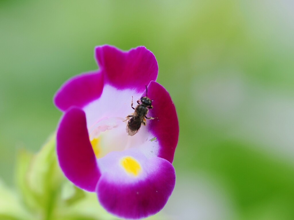 次は何処へ