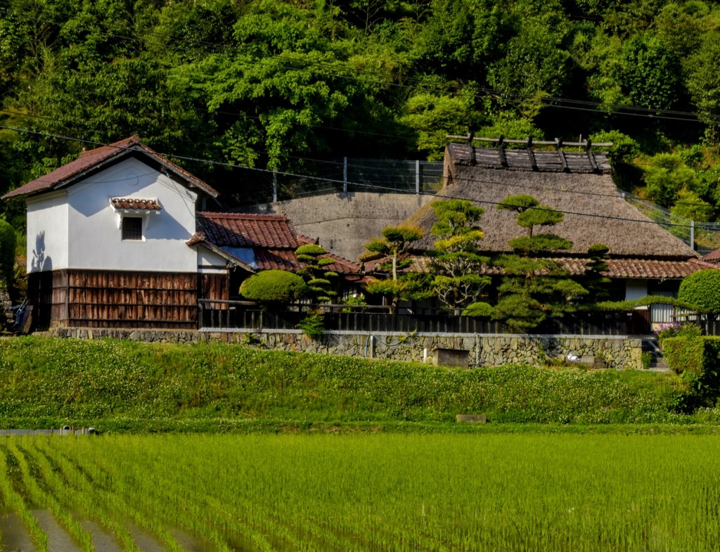 落ち着く風景