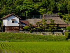 落ち着く風景