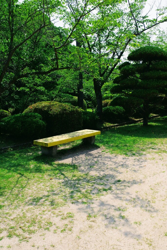 ベンチ