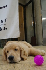 お店の前でごろ～ん