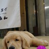 お店の前でごろ～ん