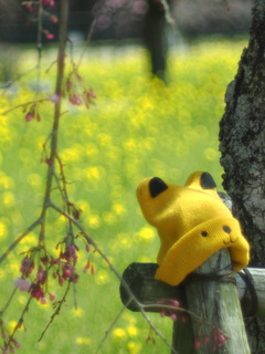 忘れ物