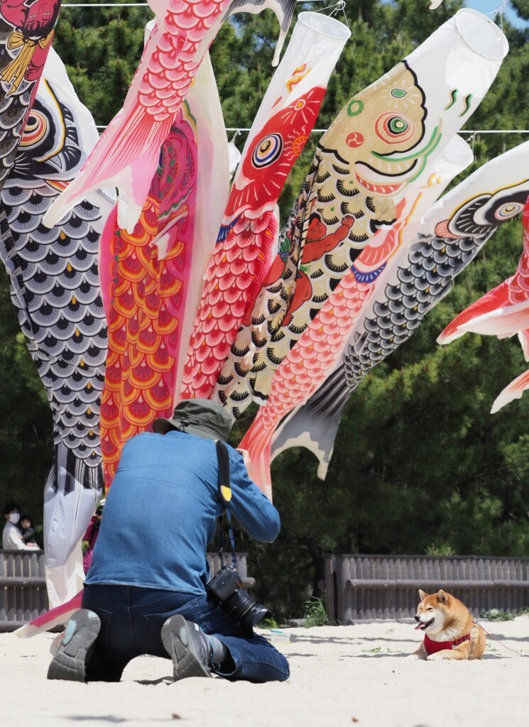 可愛く撮ってね