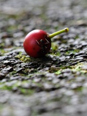 食べ過ぎ注意