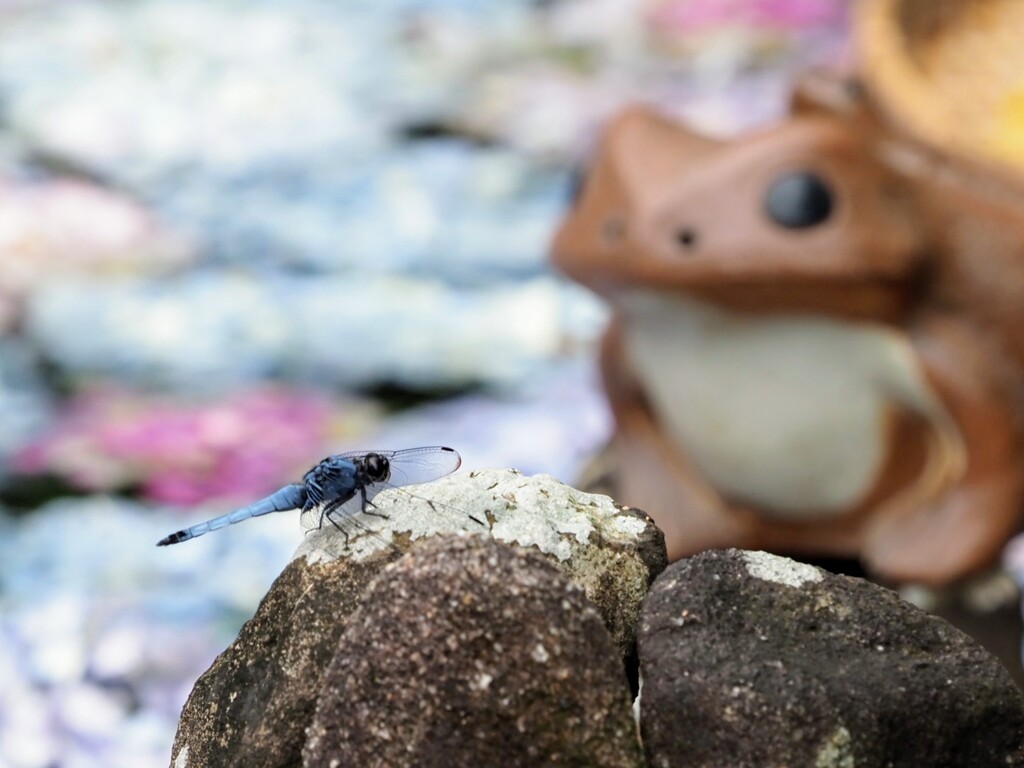 …