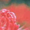 くるーん