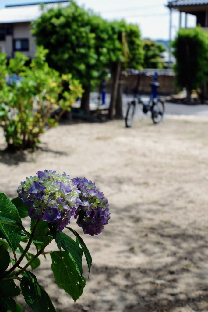 公園