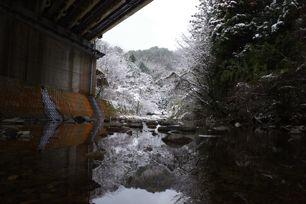 雪化粧